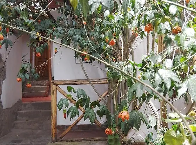 Casa De Mama - The Treehouse 3*