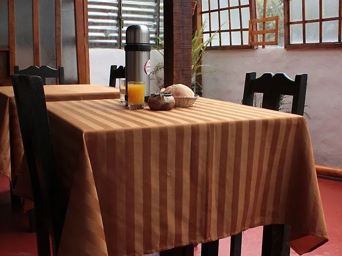 Aparthotel Casa De Mama - The Treehouse Cusco