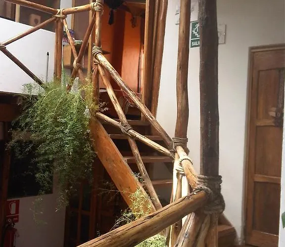 Casa De Mama - The Treehouse
